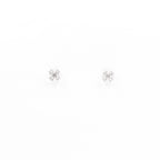 Silver White Floral Charm Jewelry Set