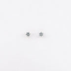 Silver Gleaming round Solitaire Earrings